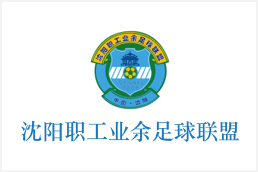 沈阳职工业余足球联盟